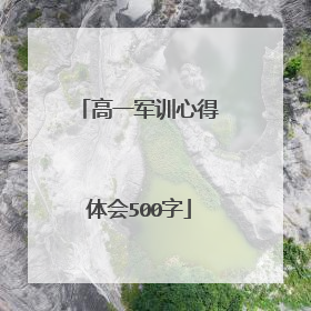 高一军训心得体会500字