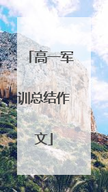 高一军训总结作文