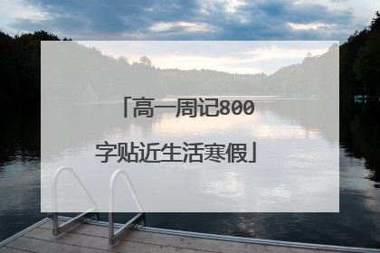高一周记800字贴近生活寒假