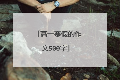 高一寒假的作文500字