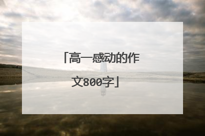 高一感动的作文800字