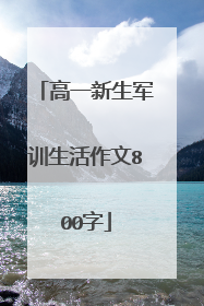 高一新生军训生活作文800字