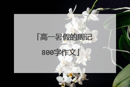 高一暑假的周记800字作文