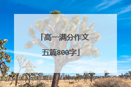 高一满分作文五篇800字