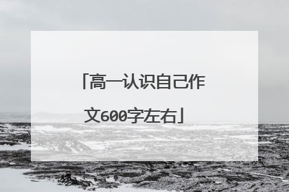 高一认识自己作文600字左右