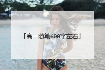 高一随笔600字左右