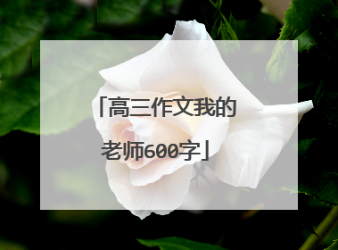 高三作文我的老师600字