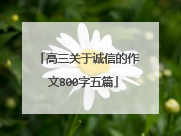 高三关于诚信的作文800字五篇