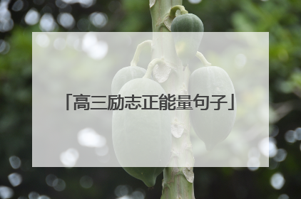 高三励志正能量句子