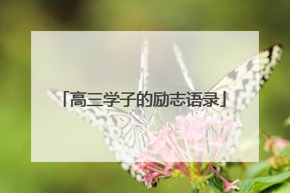 高三学子的励志语录