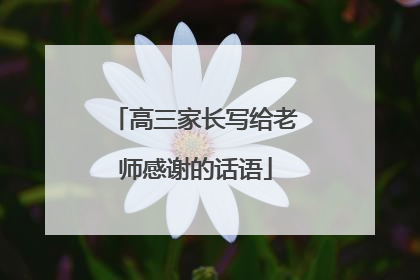高三家长写给老师感谢的话语