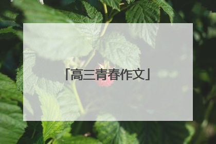高三青春作文