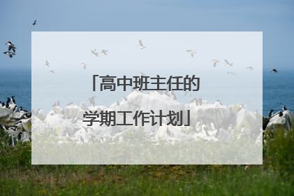 高中班主任的学期工作计划