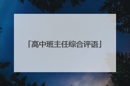 高中班主任综合评语