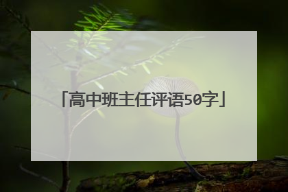 高中班主任评语50字