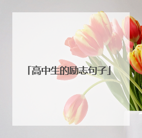 高中生的励志句子