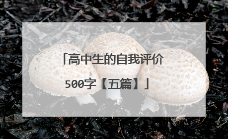 高中生的自我评价500字【五篇】