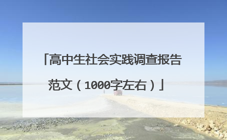 高中生社会实践调查报告范文(1000字左右)