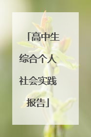 高中生综合个人社会实践报告