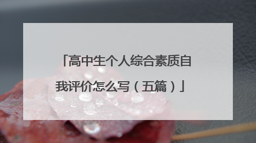 高中生个人综合素质自我评价怎么写（五篇）