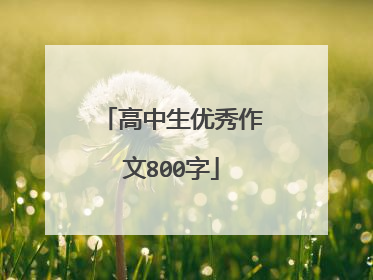 高中生优秀作文800字