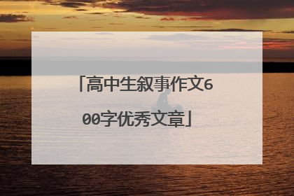 高中生叙事作文600字优秀文章