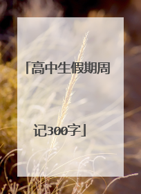 高中生假期周记300字