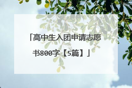 高中生入团申请志愿书800字【5篇】