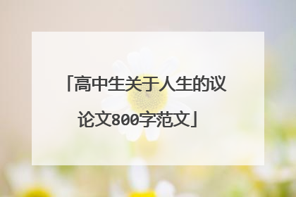 高中生关于人生的议论文800字范文