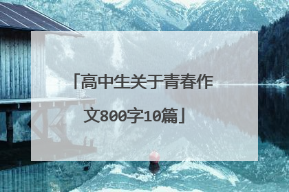 高中生关于青春作文800字10篇