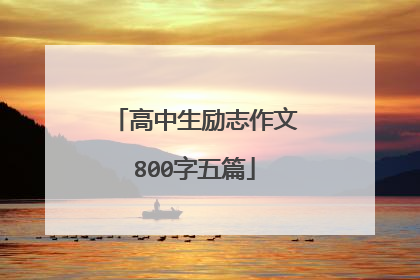 高中生励志作文800字五篇