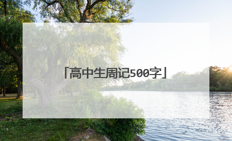 高中生周记500字