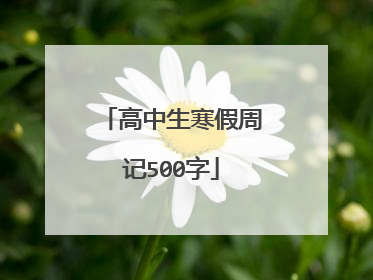 高中生寒假周记500字