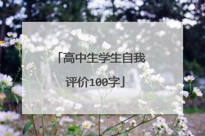 高中生学生自我评价100字