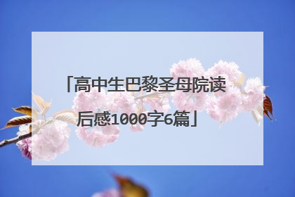 高中生巴黎圣母院读后感1000字6篇