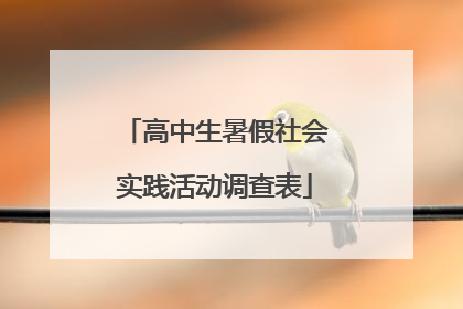 高中生暑假社会实践活动调查表