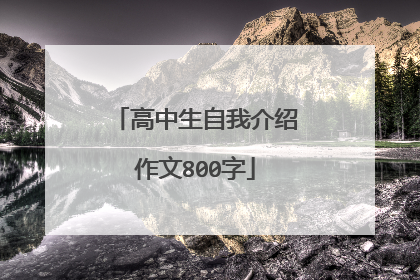 高中生自我介绍作文800字