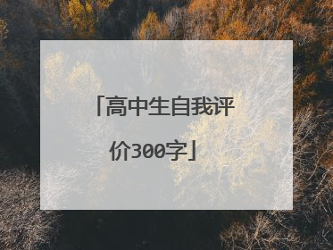 高中生自我评价300字