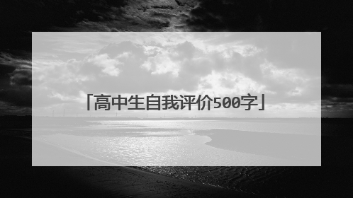 高中生自我评价500字