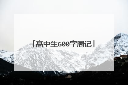 高中生600字周记