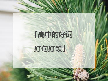 高中的好词好句好段