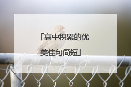高中积累的优美佳句简短