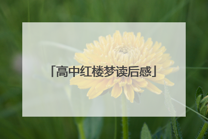 高中红楼梦读后感