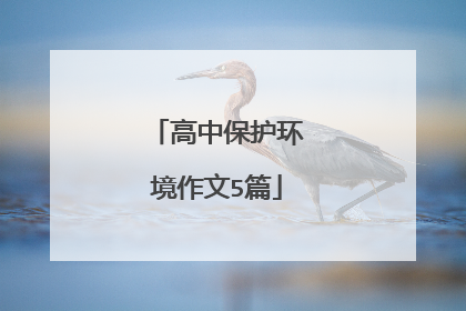 高中保护环境作文5篇