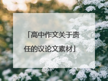 高中作文关于责任的议论文素材