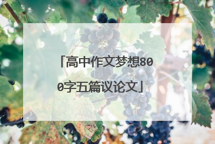 高中作文梦想800字五篇议论文