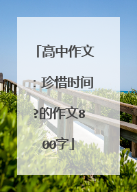 高中作文:珍惜时间?的作文800字