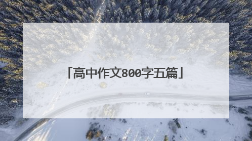 高中作文800字五篇