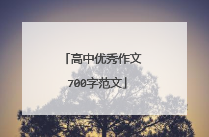 高中优秀作文700字范文
