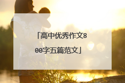 高中优秀作文800字五篇范文
